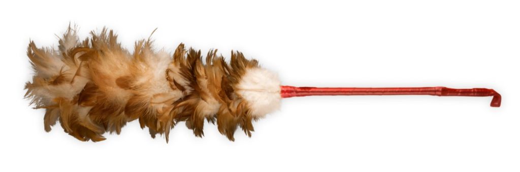 Feather Duster