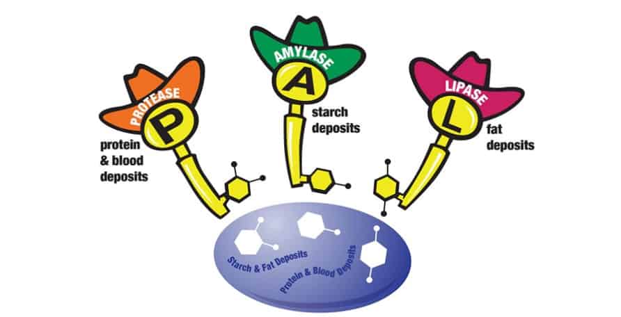 How to Treat Coffee Stains with an Enzyme Presoak