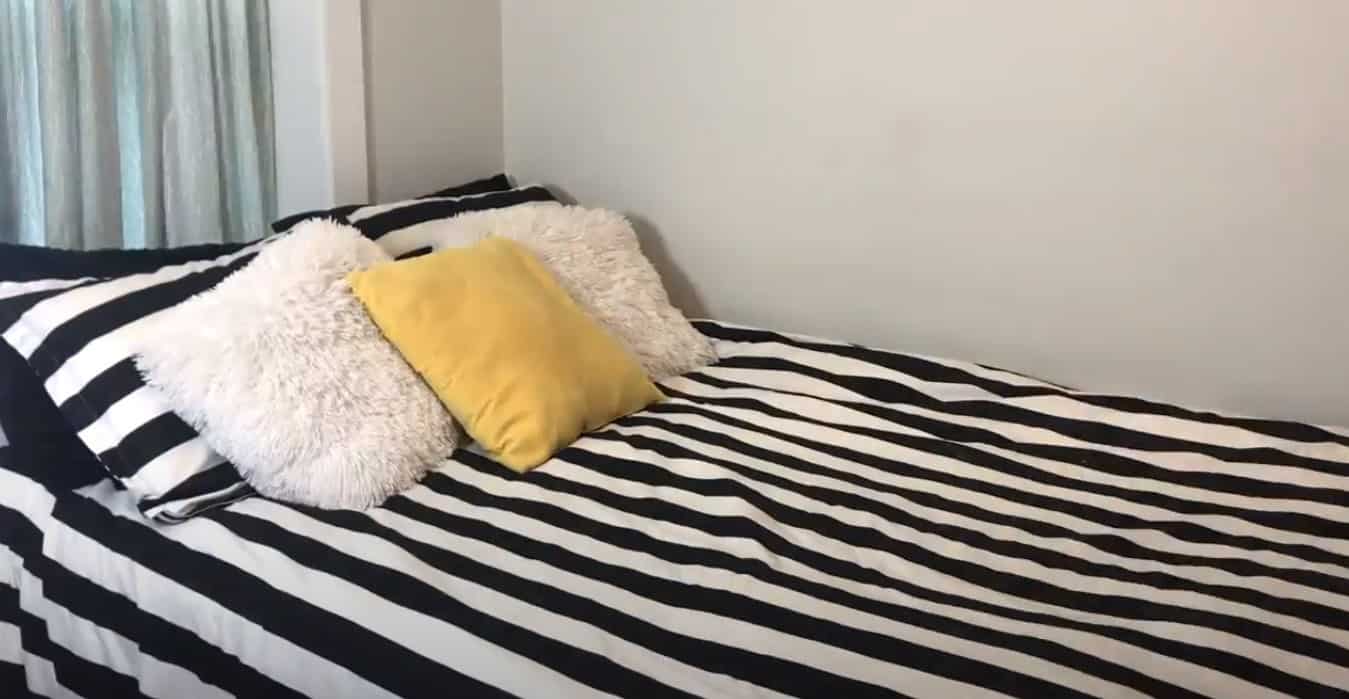 10 Best Steam Cleaner For Mattress With Useful Accessories