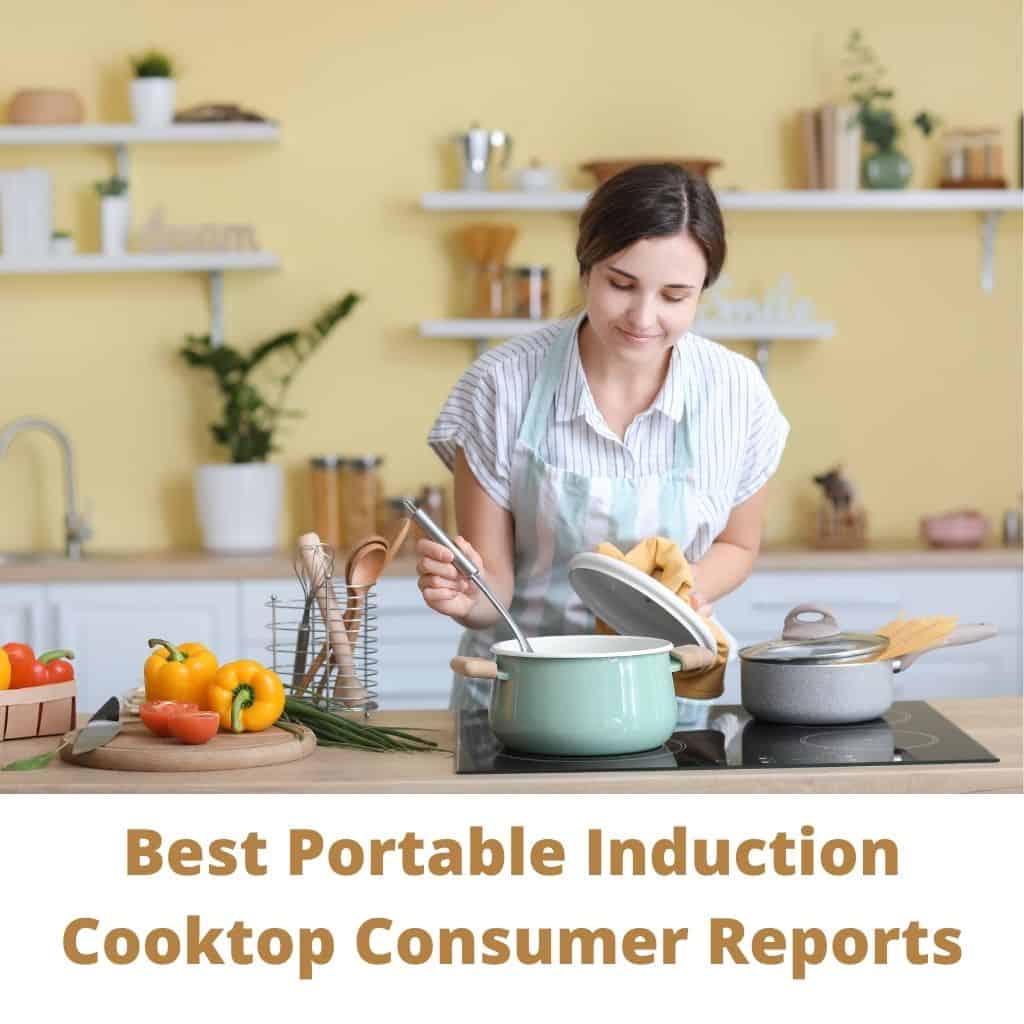 10 Best Portable Induction Cooktop Consumer Reports Buying Guide 2023