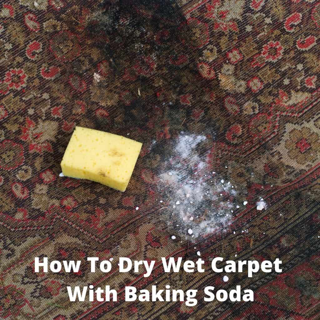 How To Dry Wet Carpet With Baking Soda