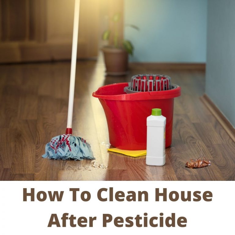 How to clean house after pesticide