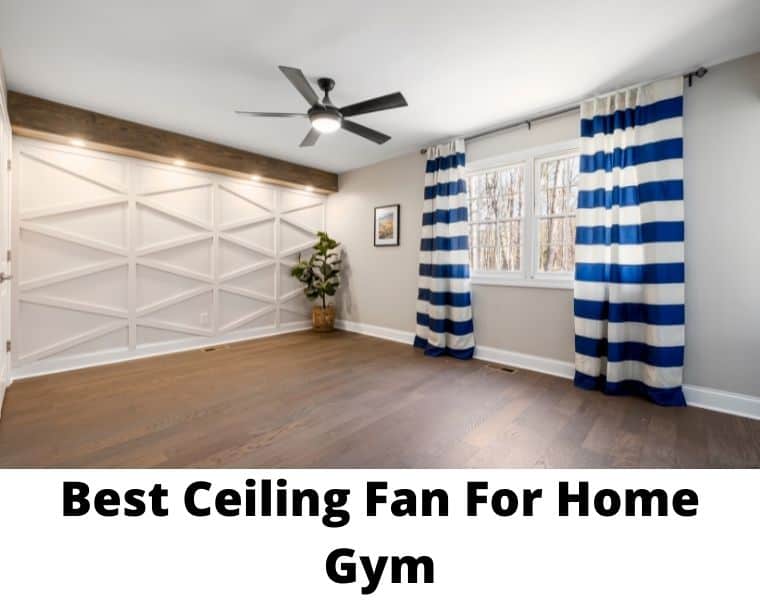 best ceiling fan for home gym
