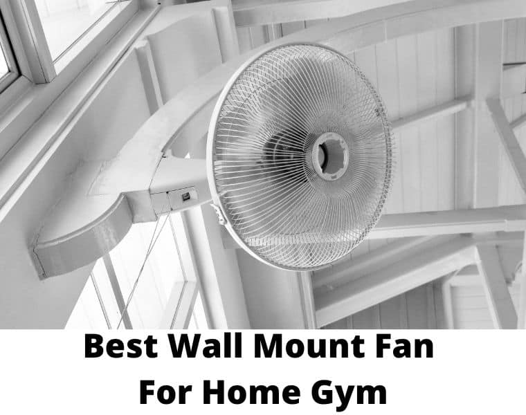 best wall mount fan for home gym