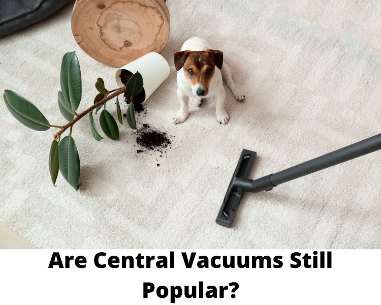 Are Central Vacuums Still Popular