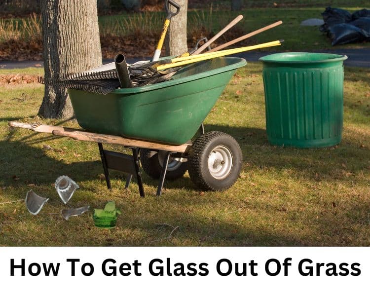 how to get glass out of grass