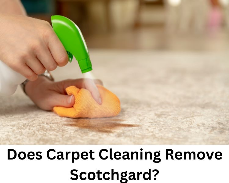 does carpet cleaning remove scotchgard