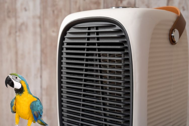 are ceramic space heaters safe for birds