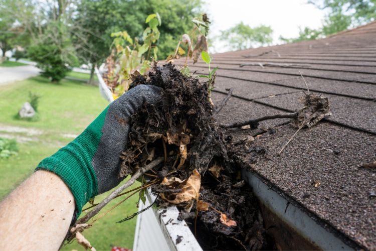 how often do gutters need to be cleaned