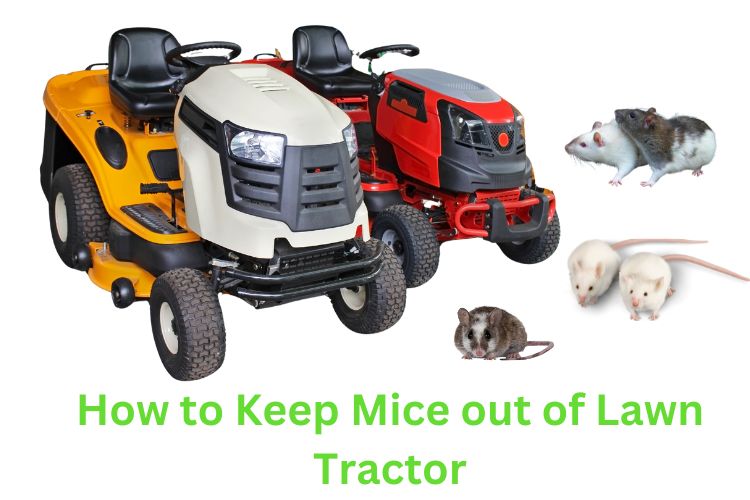 how to keep mice out of lawn tractor