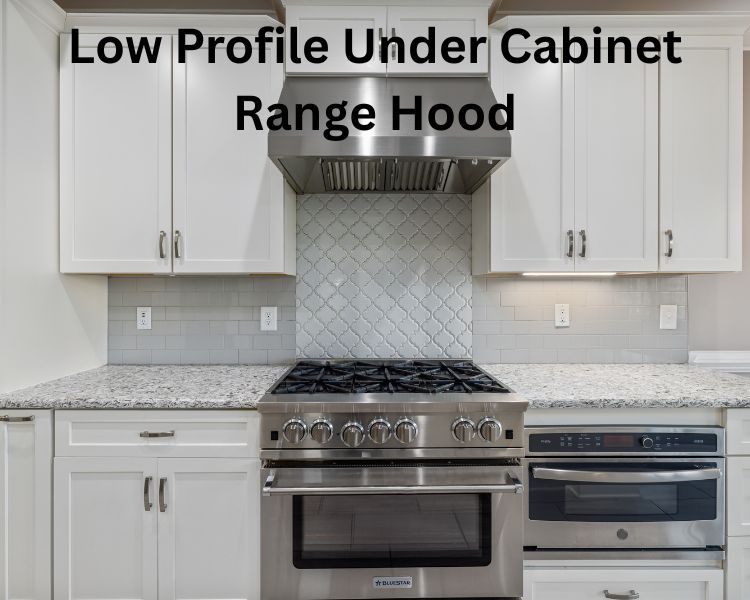 low profile under cabinet range hood