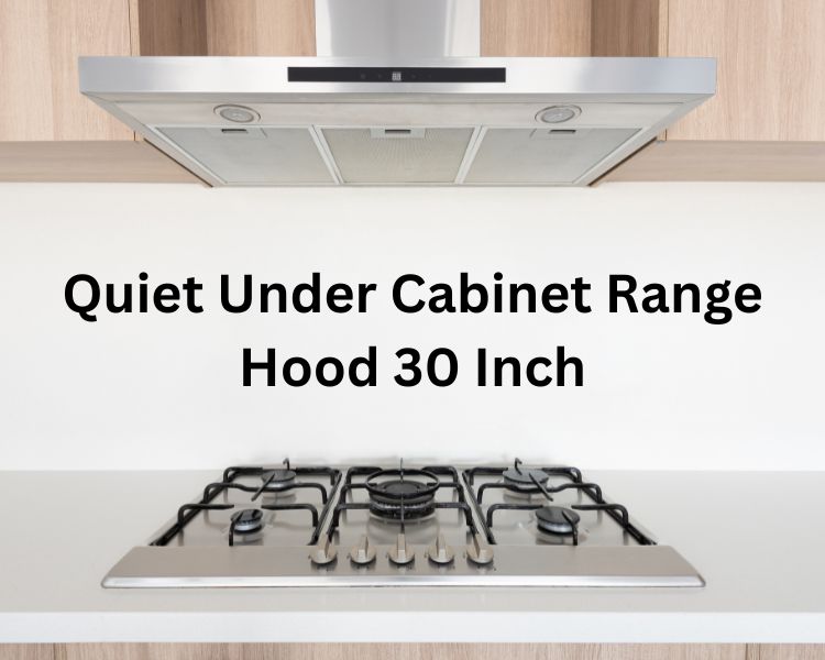 quiet under cabinet range hood 30 inch