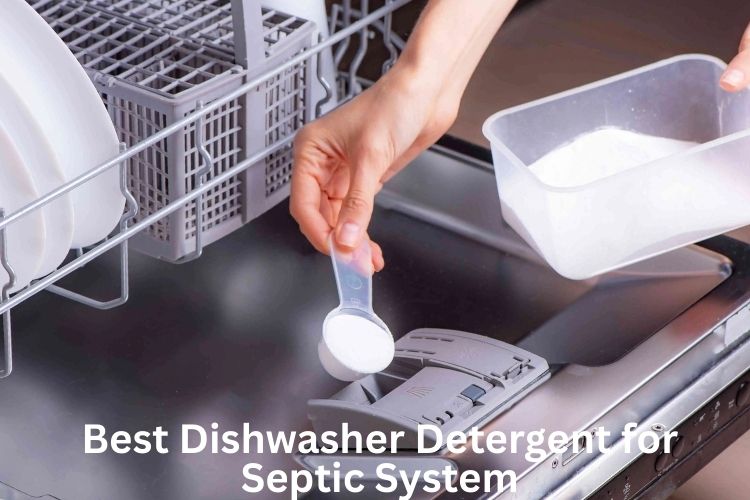best dishwasher detergent for septic system