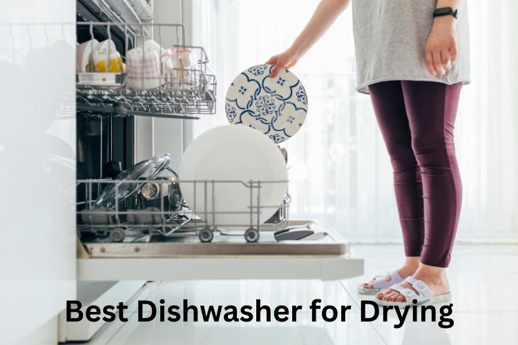 Best Dishwasher for Drying