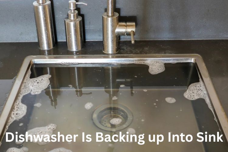 Dishwasher Is Backing Up Into Sink