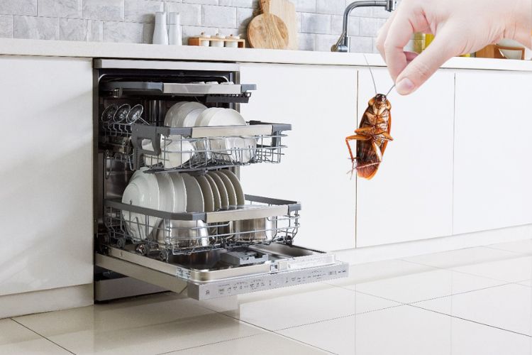 How to Get Rid of Cockroaches in Dishwasher