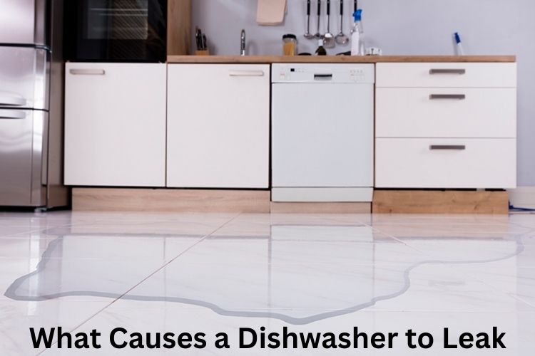 What Causes a Dishwasher to Leak