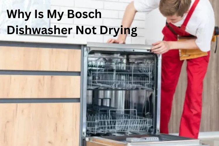 Why Is My Bosch Dishwasher Not Drying