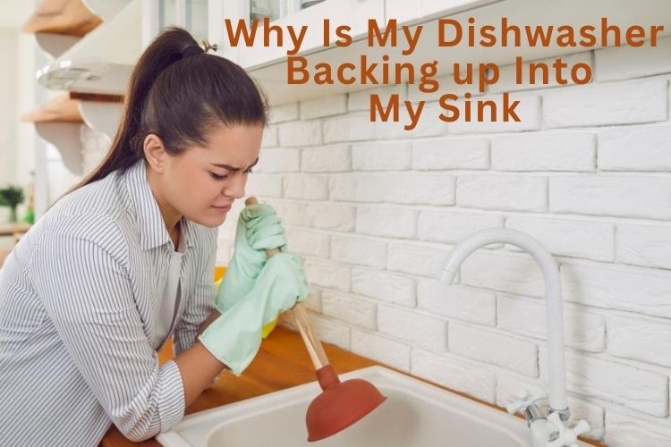 Why Is My Dishwasher Backing Up Into My Sink