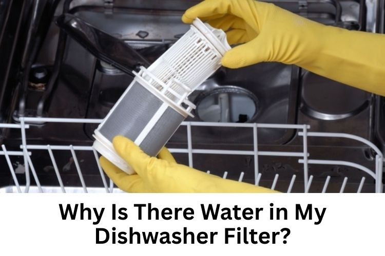 Why Is There Water in My Dishwasher Filter