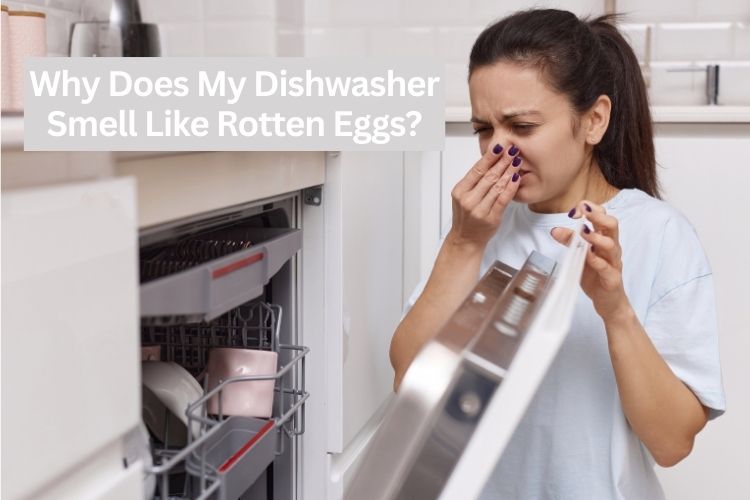 why does my dishwasher smell like rotten eggs