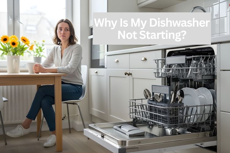 why is my dishwasher not starting