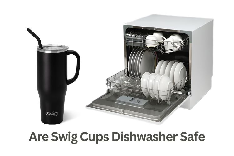 are swig cups dishwasher safe