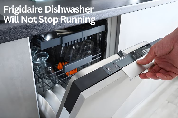 frigidaire dishwasher will not stop running