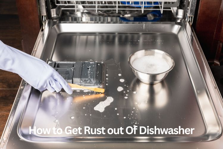 how to get rust out of dishwasher