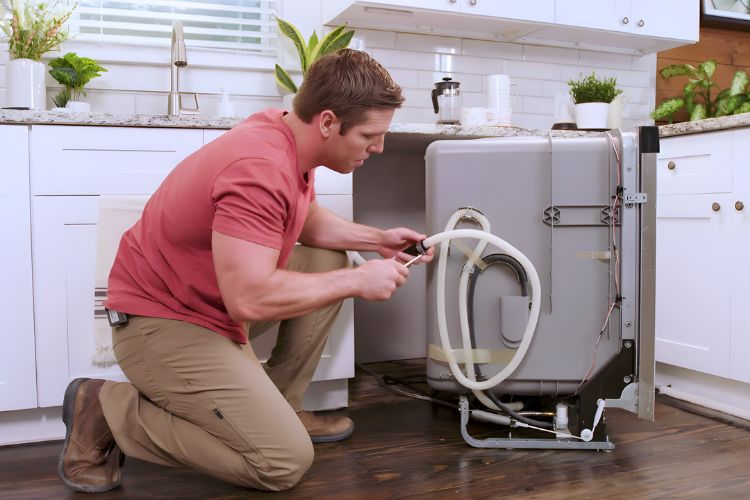 backflow preventer for dishwasher