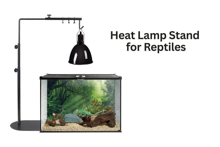 heat lamp stand for reptiles
