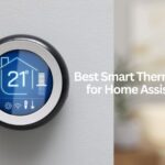 best smart thermostat for home assistant